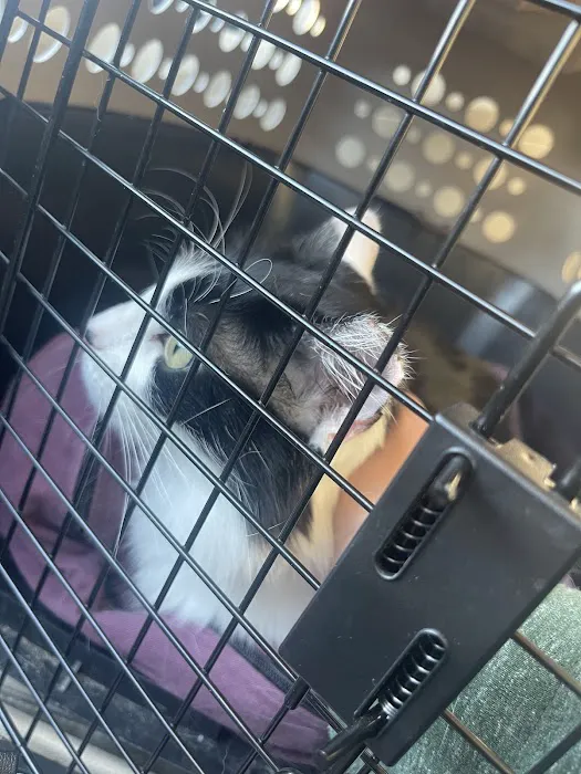 Banfield Pet Hospital Picture 5