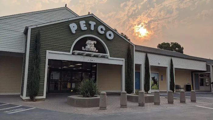 Petco Picture 7