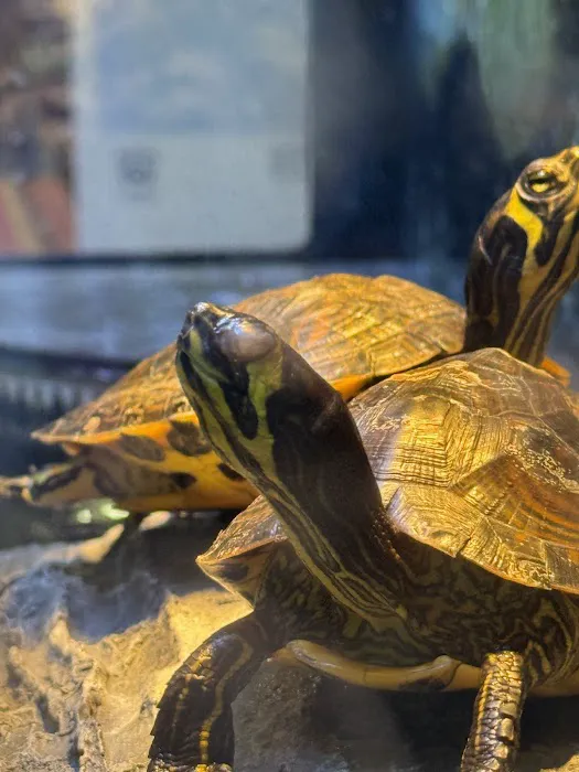 Petco Picture 10