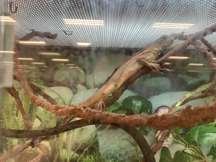 Petco Picture 8