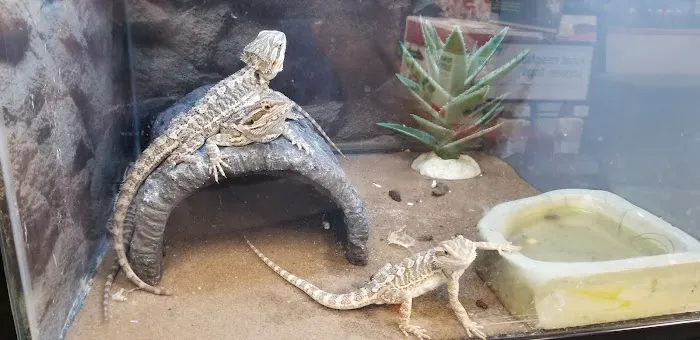 Petco Picture 1