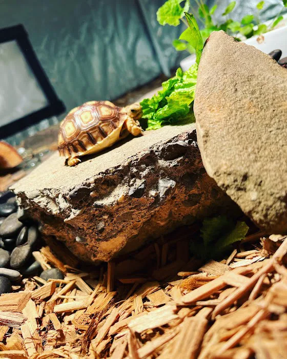 Petco Picture 2