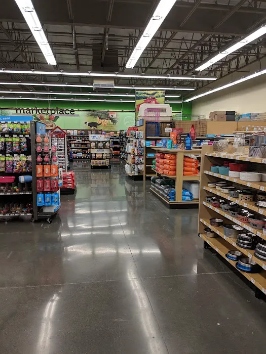 Petco Picture 7