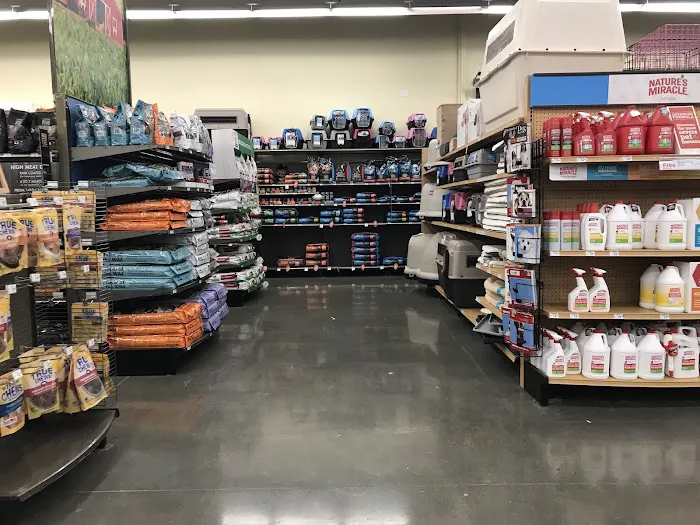 Petco Picture 9