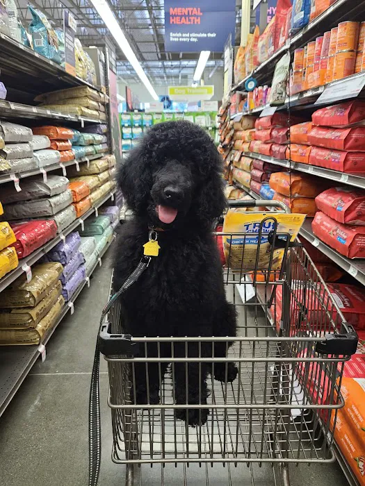 Petco Picture 1