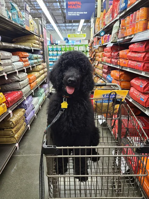Petco Picture 2