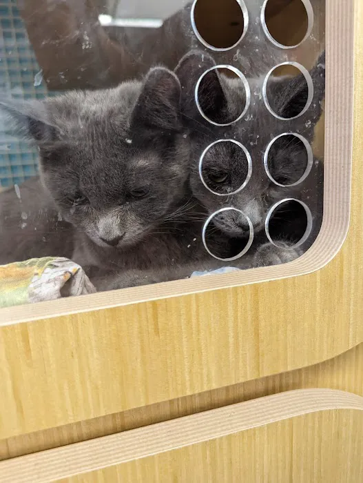 Petco Picture 6