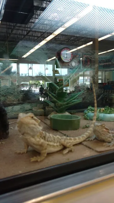 Petco Picture 4