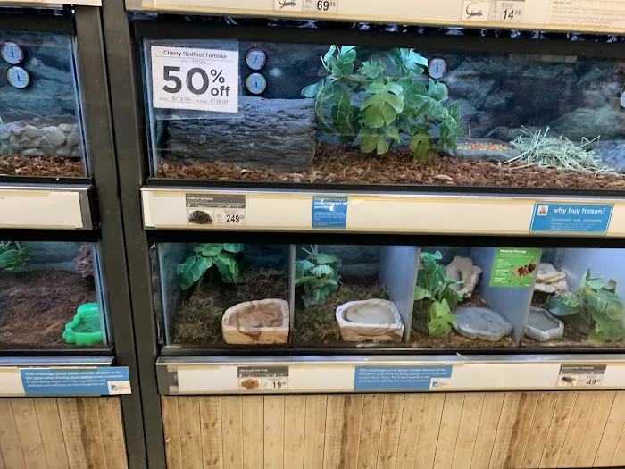 Petco Picture 10