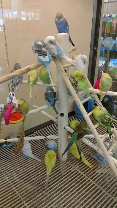 Petco Picture 5