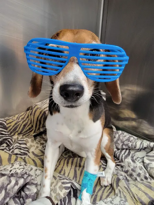 Hart Animal Clinic Picture 2