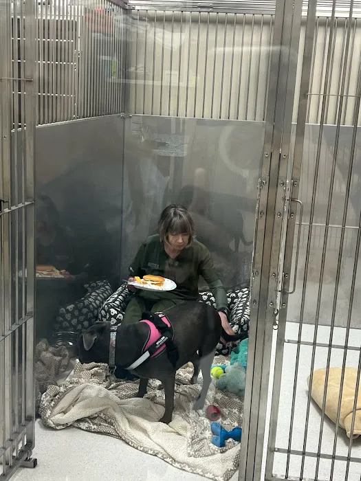 Hart Animal Clinic Picture 4