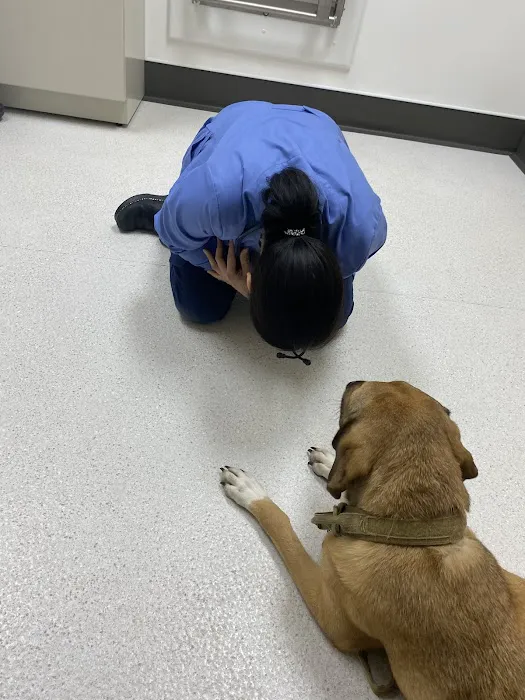 Hart Animal Clinic Picture 6