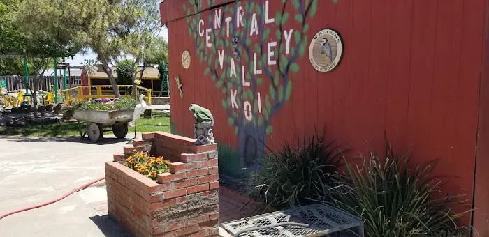 Central Valley Koi Picture 3