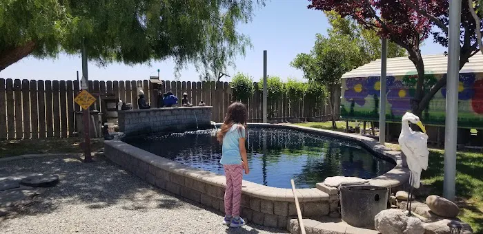 Central Valley Koi Picture 1