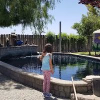 Central Valley Koi ico