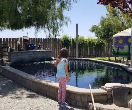 Central Valley Koi