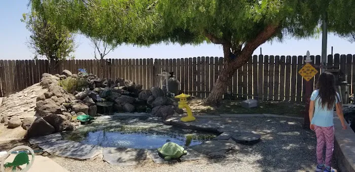 Central Valley Koi Picture 2