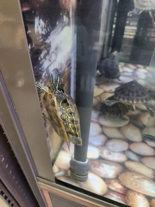 Petco Picture 6