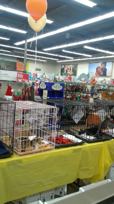 Petco Picture 2