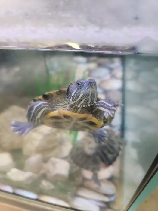 Petco Picture 4