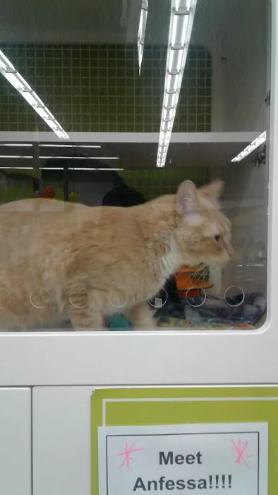 Petco Picture 7