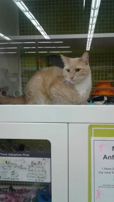 Petco Picture 3