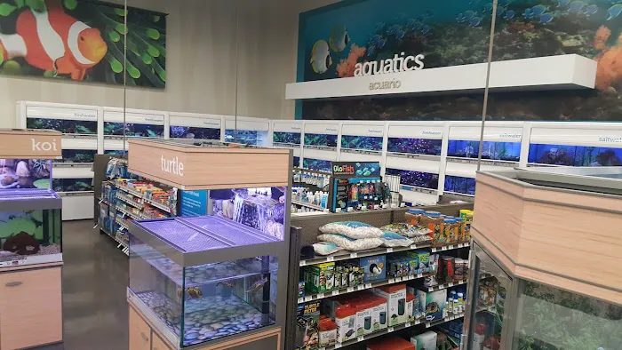 Petco Picture 8