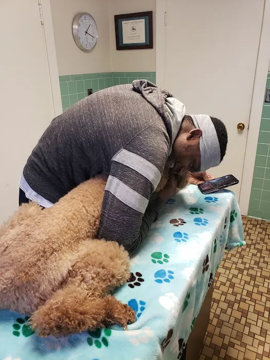 Fredericksburg Animal Hospital Picture 4