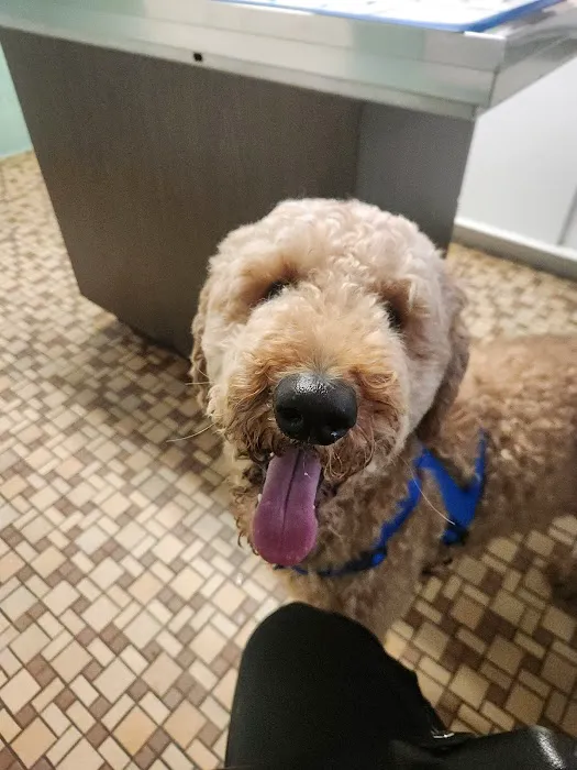 Fredericksburg Animal Hospital Picture 3