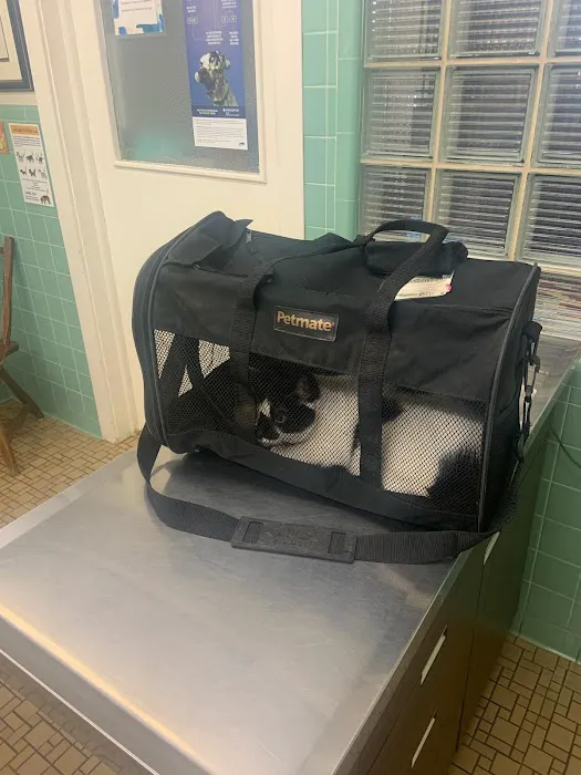 Fredericksburg Animal Hospital Picture 7