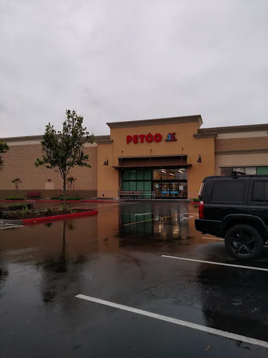 Petco Picture 8