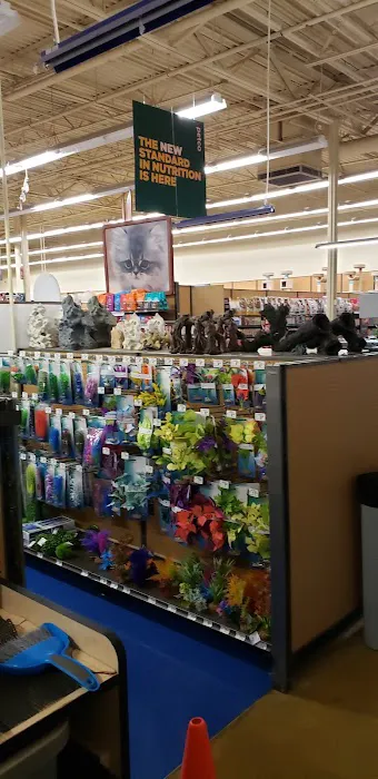 Petco Picture 3