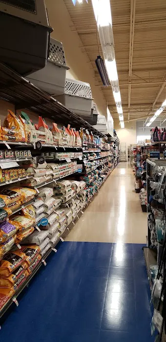 Petco Picture 4