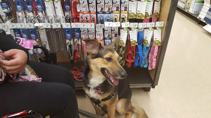 Petco Picture 9