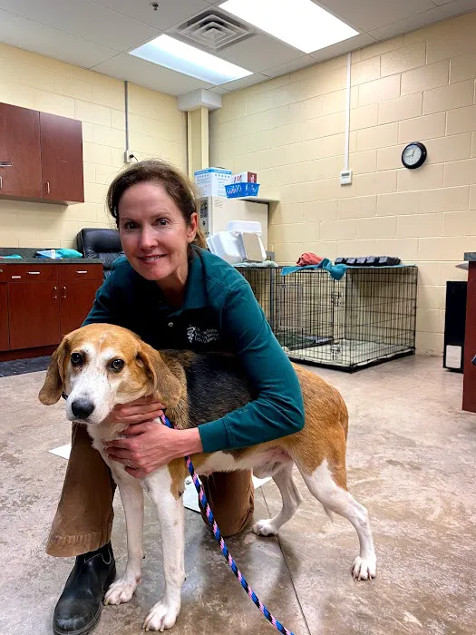 Olde Towne Equine - Dr. Kate Moga DVM, ACCC/AVCA Picture 6