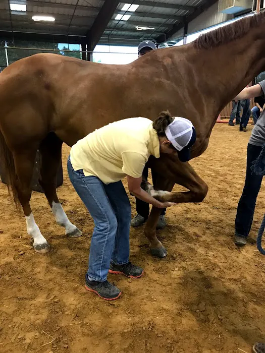 Olde Towne Equine - Dr. Kate Moga DVM, ACCC/AVCA Picture 9