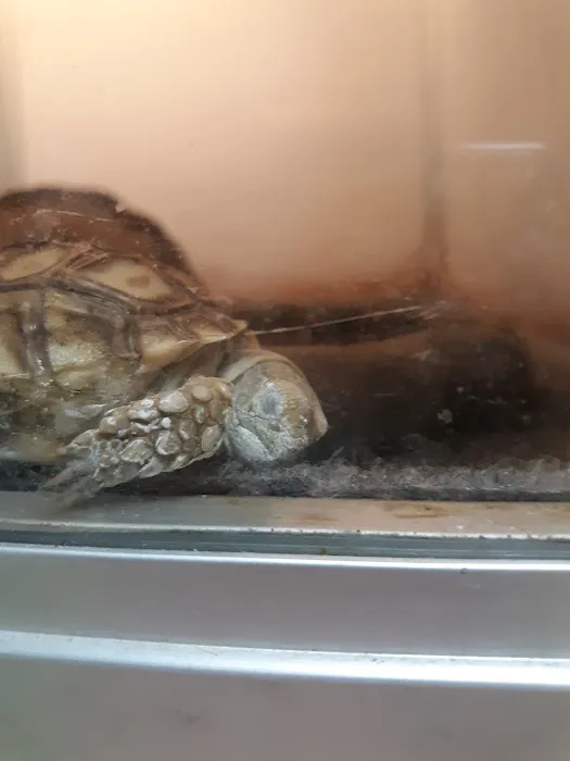 Armstrong's Pet World Picture 1