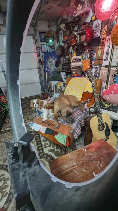 Armstrong's Pet World Picture 4