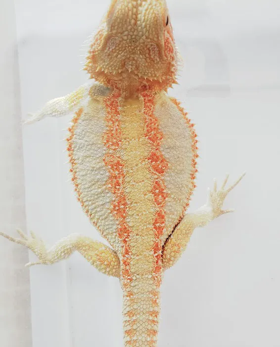 Armstrong's Pet World Picture 2