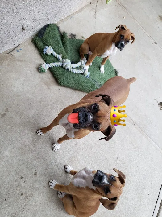 Armstrong's Pet World Picture 5
