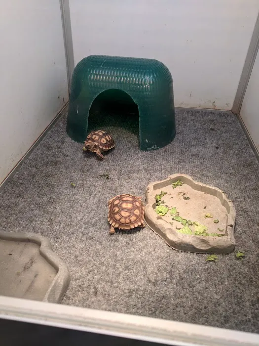 Armstrong's Pet World Picture 4