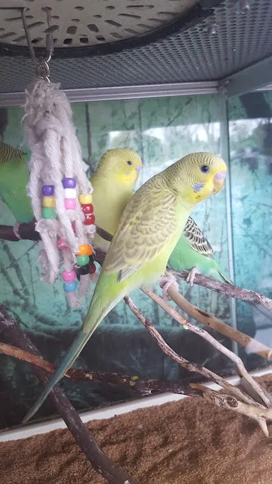 Armstrong's Pet World Picture 5