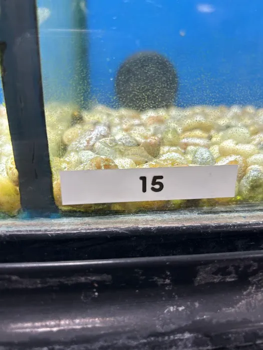 Armstrong's Pet World Picture 10