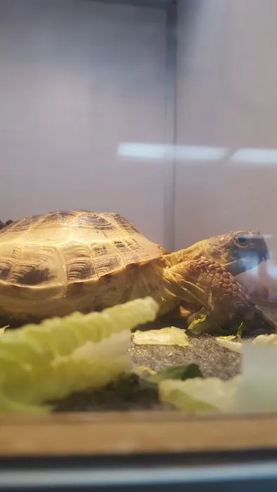 Armstrong's Pet World Picture 6