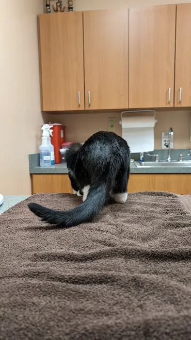 VCA White Oak Animal Hospital Picture 3