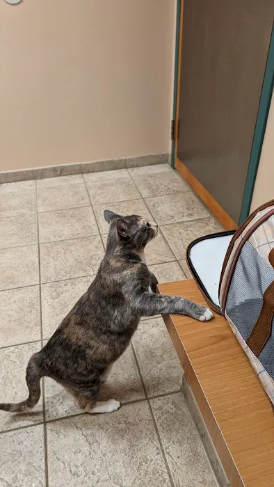 VCA White Oak Animal Hospital Picture 5