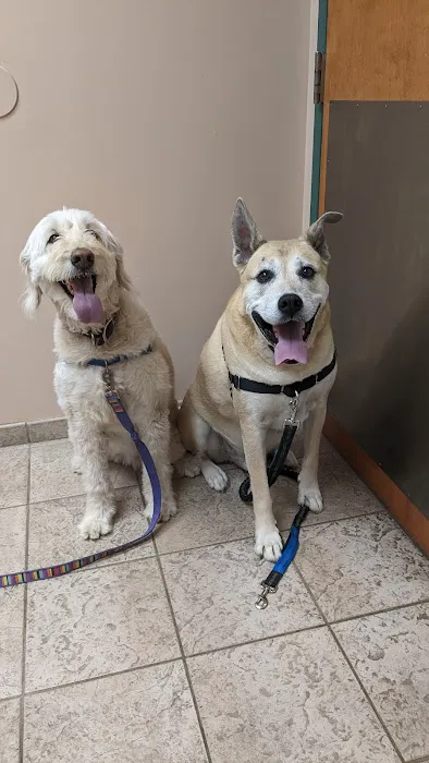 VCA White Oak Animal Hospital Picture 10