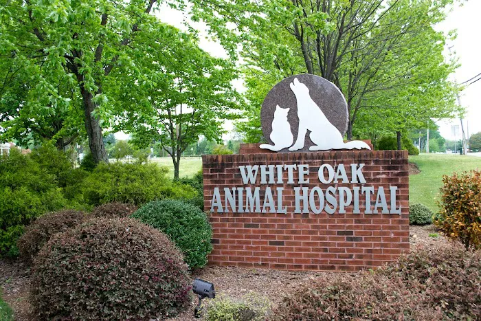 VCA White Oak Animal Hospital Picture 9