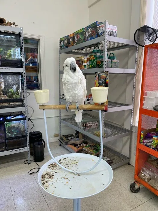 pintos pet shop Picture 10